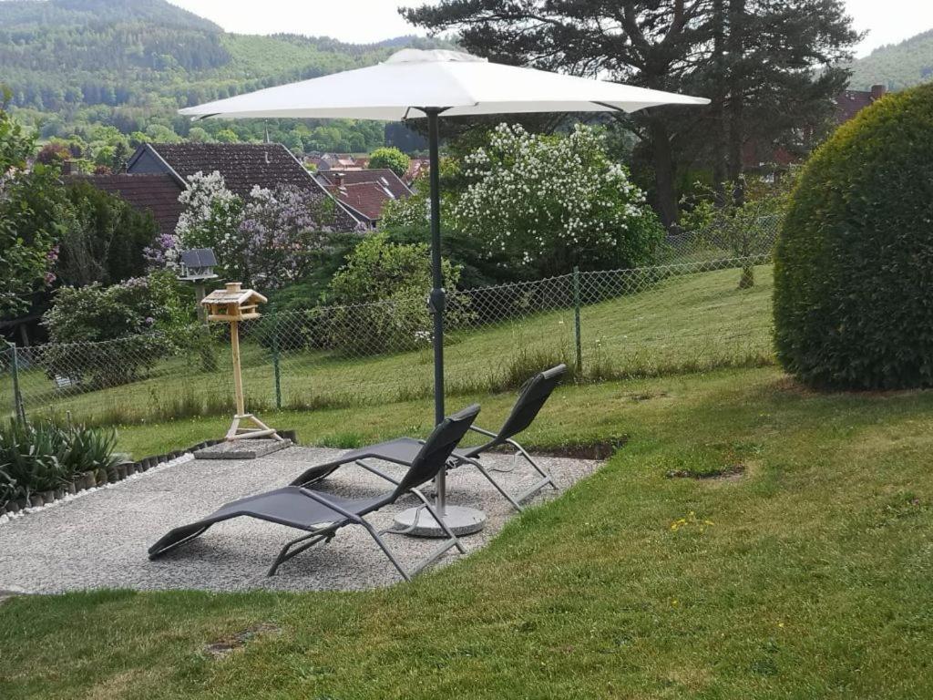 Casa Carlotta - Keine Monteure Villa Langelsheim Dış mekan fotoğraf